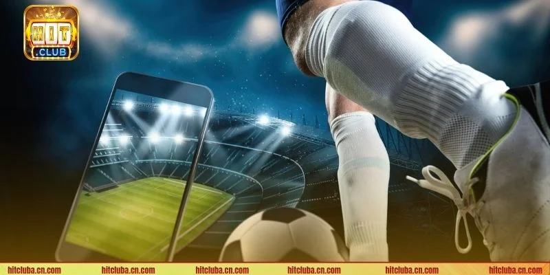 Cần tuân thủ những nguyên tắc nhất định khi cược thể thao tại HITCLUB.